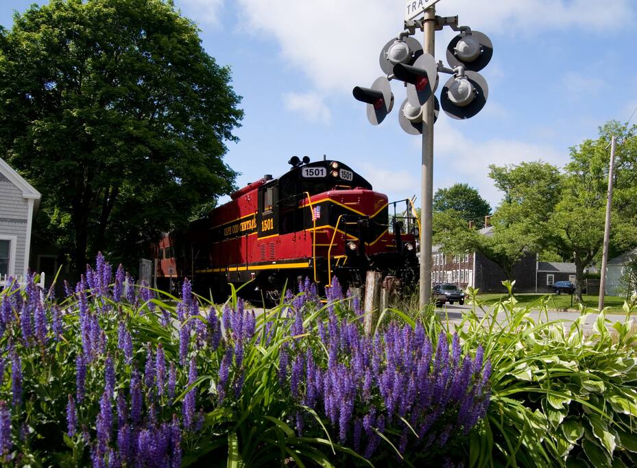 Cape Cod Railroad