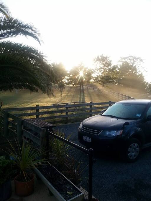 morning sun