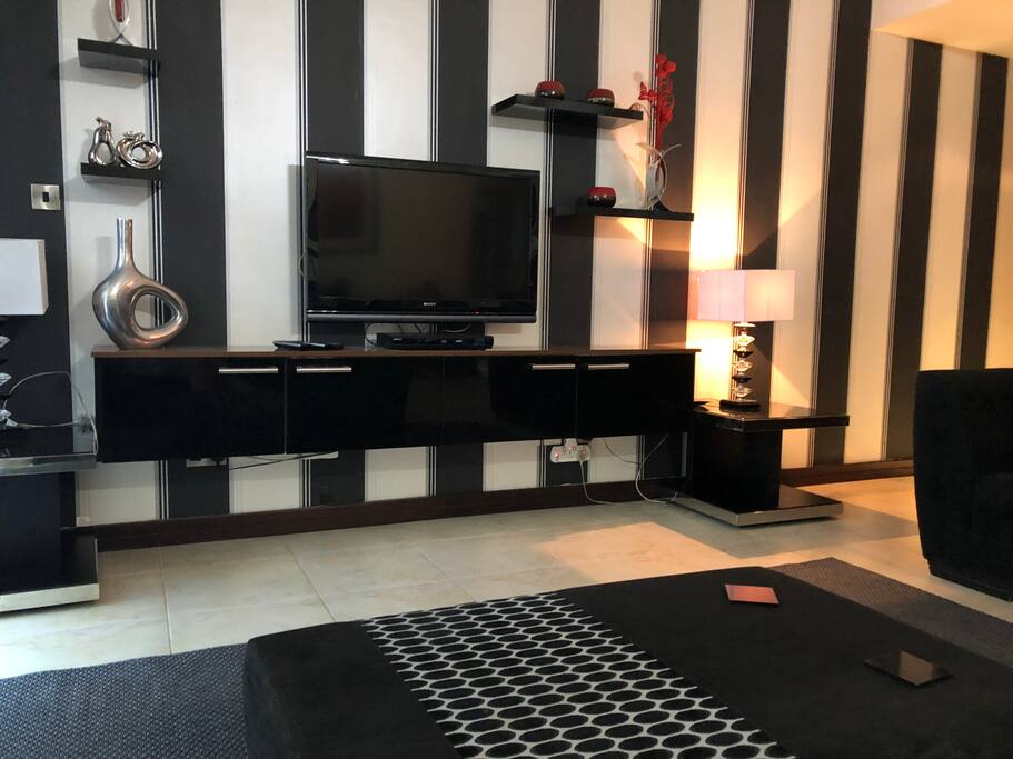 Flat Screen Tv and DVD Player