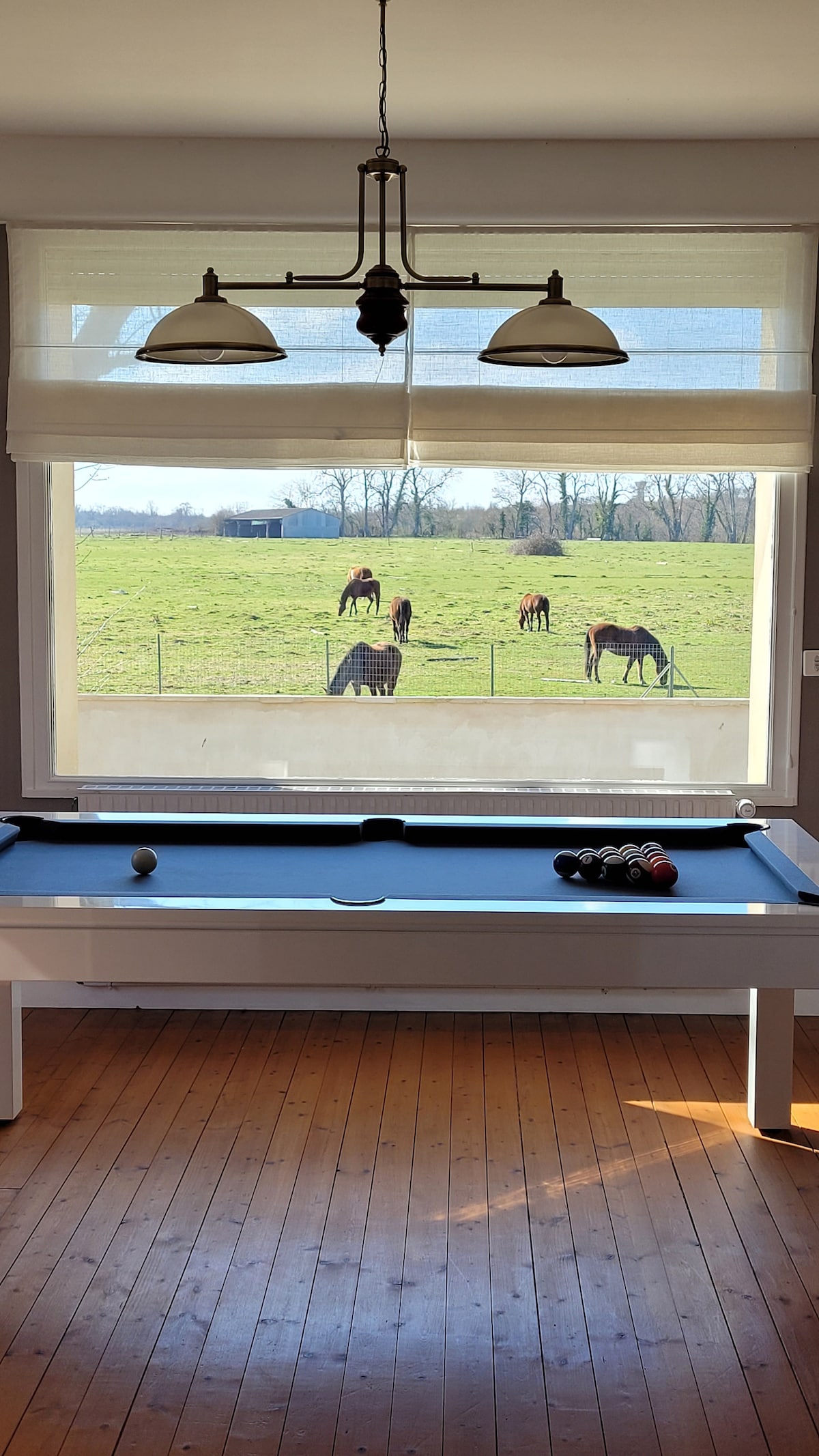 A pool table is positioned in a well-lit room with large windows displaying a serene view of grazing horses in a green field. Natural light enhances the wooden flooring, and stylish light fixtures are suspended above the table.