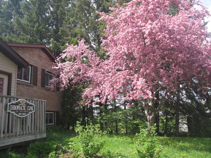 J D s Airbnb j-d-s-airbnb