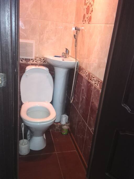 Отдельная туалетная комната