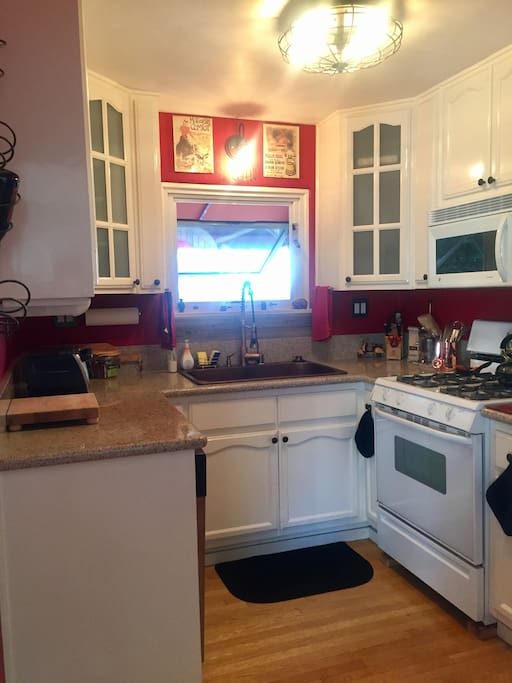Galley kitchen, fully equipped with everything you need, including a French Press!