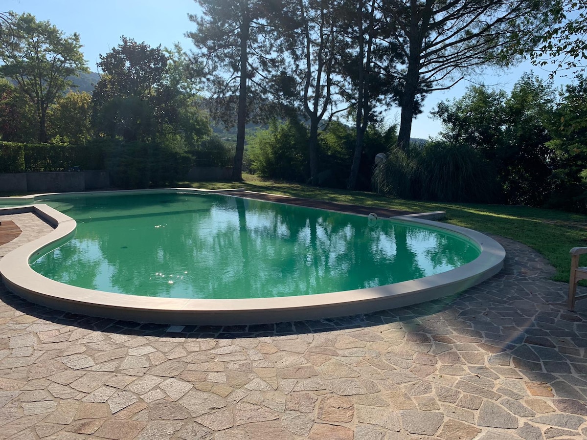 A tranquil swimming pool is surrounded by a stone patio, nestled among trees and greenery. The water reflects the natural light, creating a serene atmosphere. The pool's curvilinear shape is complemented by the landscaped surroundings, inviting relaxation in a peaceful outdoor setting.