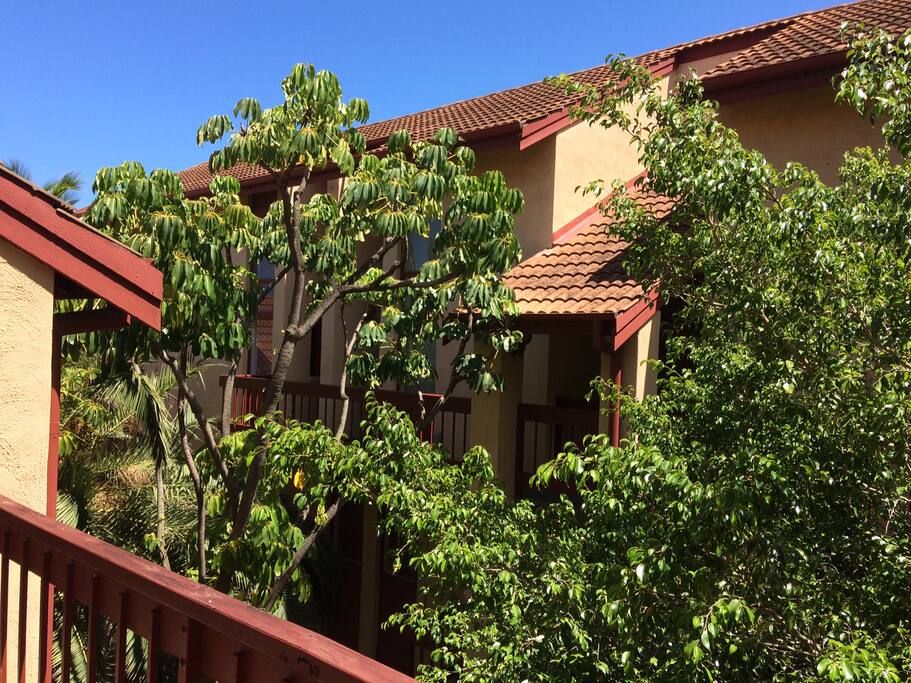 View from the front door of the apartment