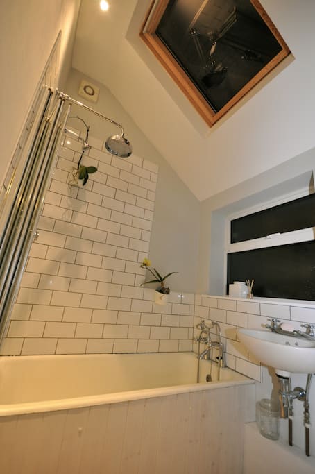 Shared bathroom (downstairs)