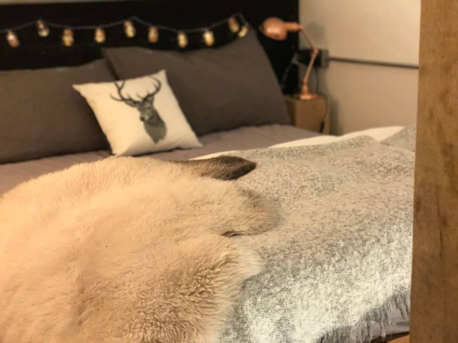 Cozy bed with plenty of blanket and cushions