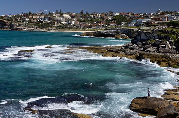Bondi Tamarama Luxury 2B/Apartment Ocean View gallery image 5