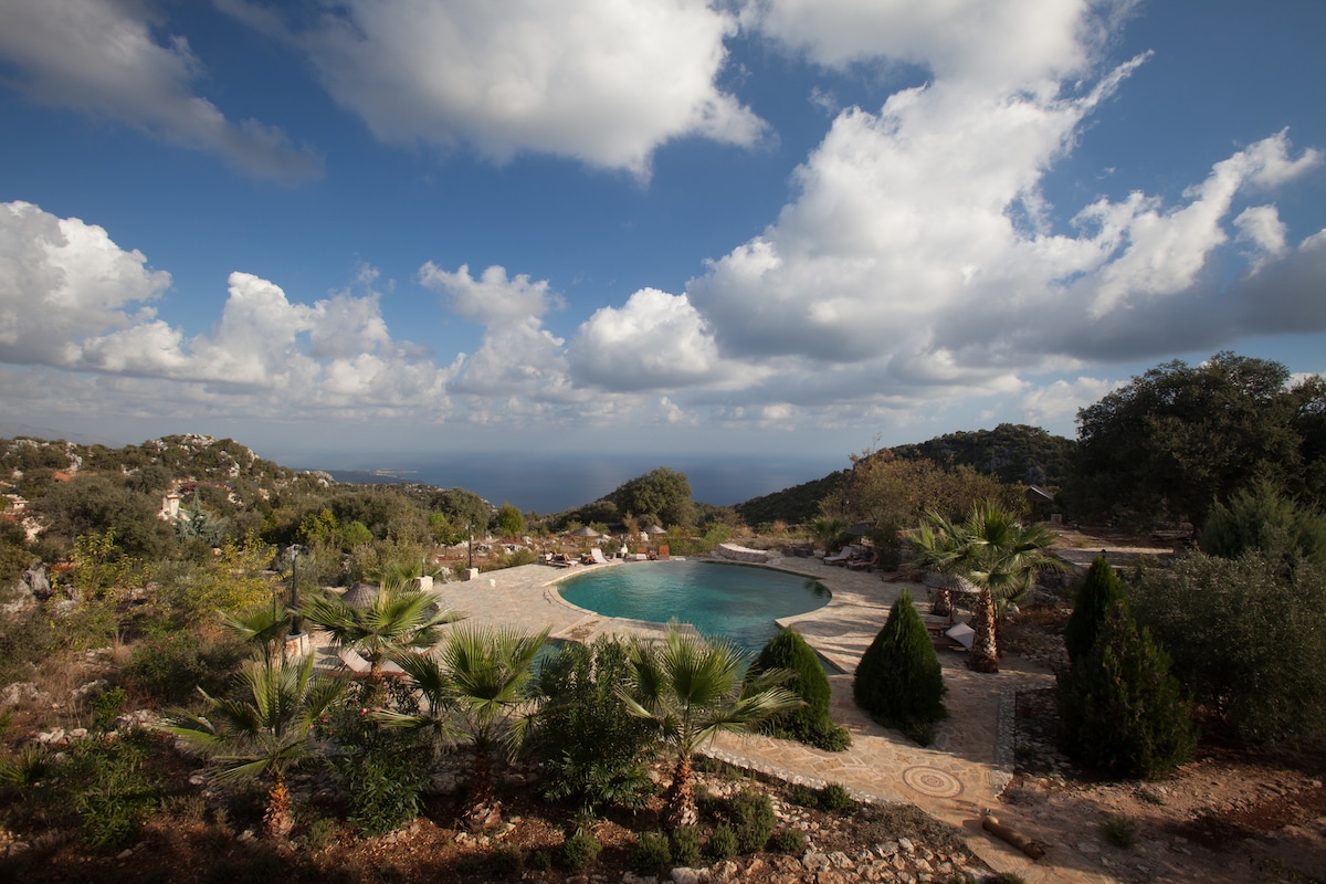 An expansive stone terrace surrounds a tranquil pool, framed by palm trees and greenery. The sky above is dotted with clouds, reflecting a serene ambiance. A stunning view of the distant sea complements the scene, inviting relaxation amid nature.