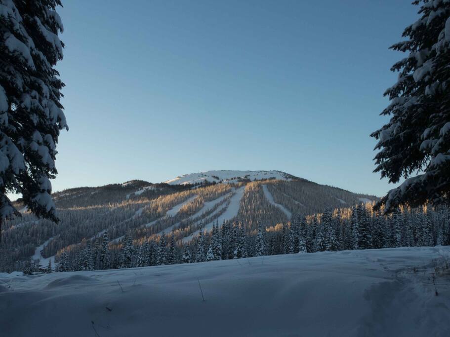 Mountain View winter