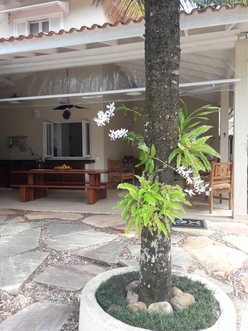 vista frontal