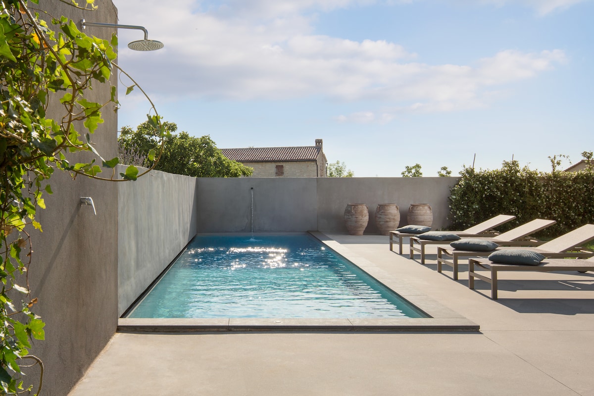A sleek, rectangular pool is set within a modern patio area, surrounded by minimalistic gray walls. Sun loungers with soft cushions are positioned along one side, and terra-cotta pots add a touch of rustic elegance. Lush greenery is visible in the background against a clear sky.
