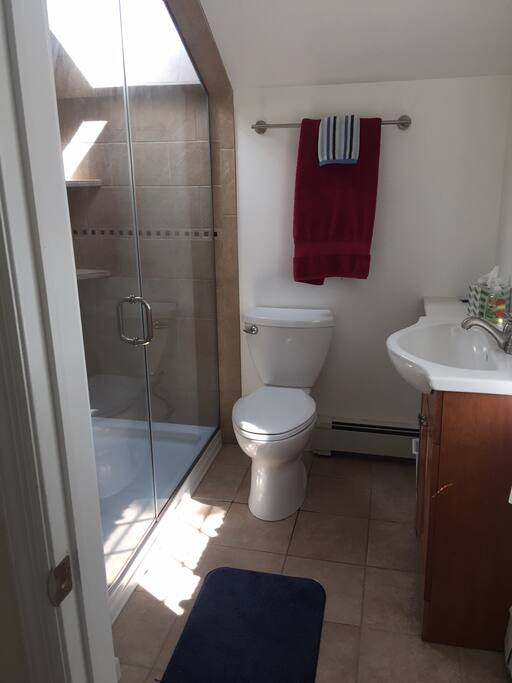 bathroom with skylight