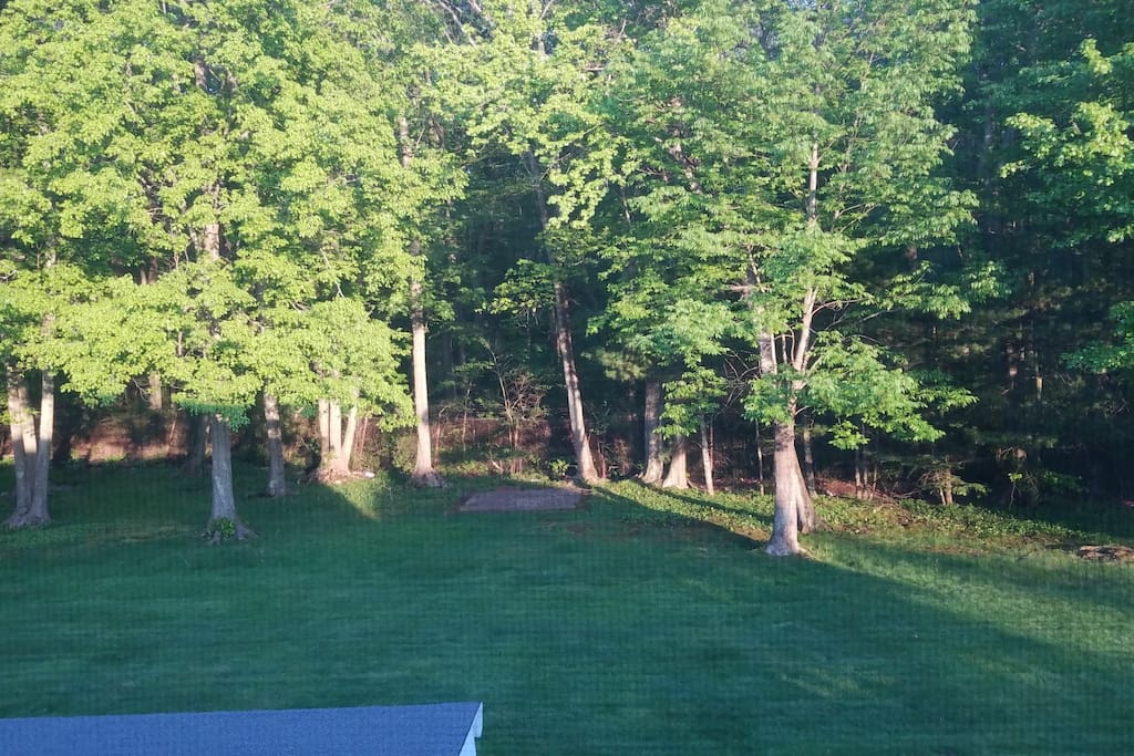 Backyard space
