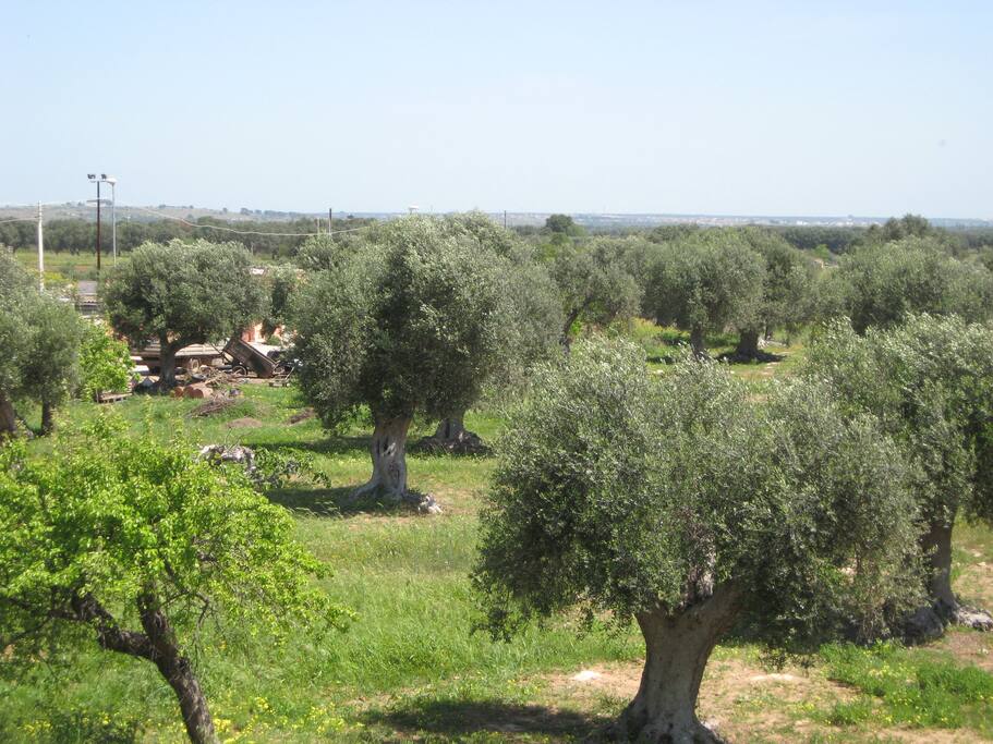 panorama balcone