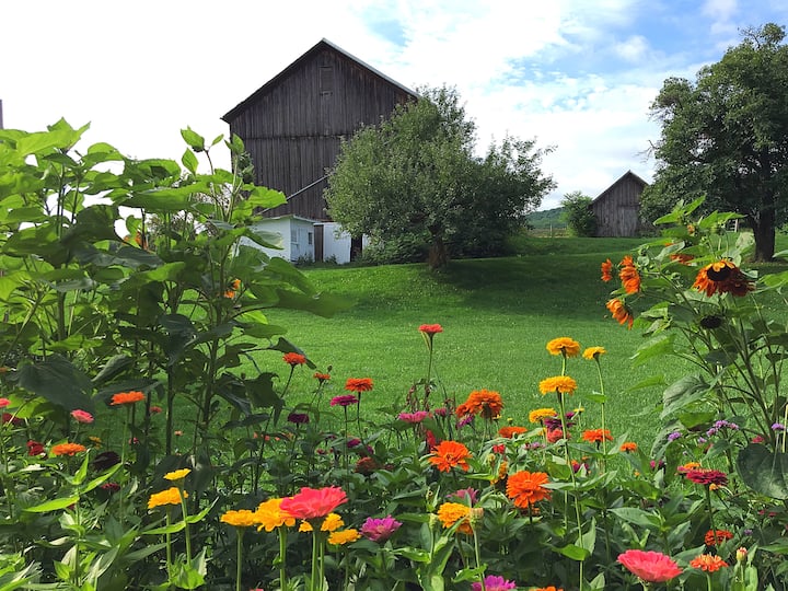 Top 10 Farm Stays In New York, USA Updated 2024 Trip101