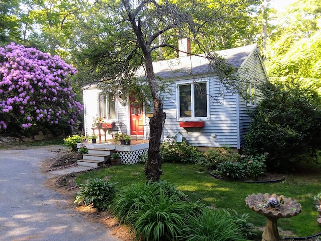 Cottage In The Woods