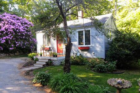 gloucester superhost