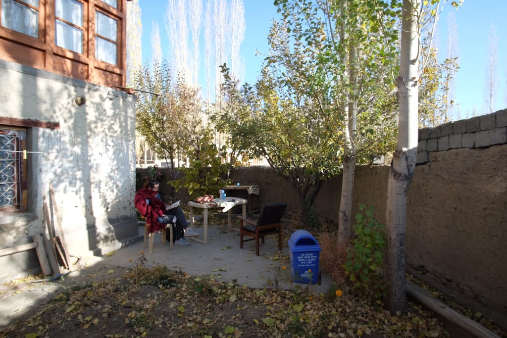 Peaceful Garden with a little apple tree