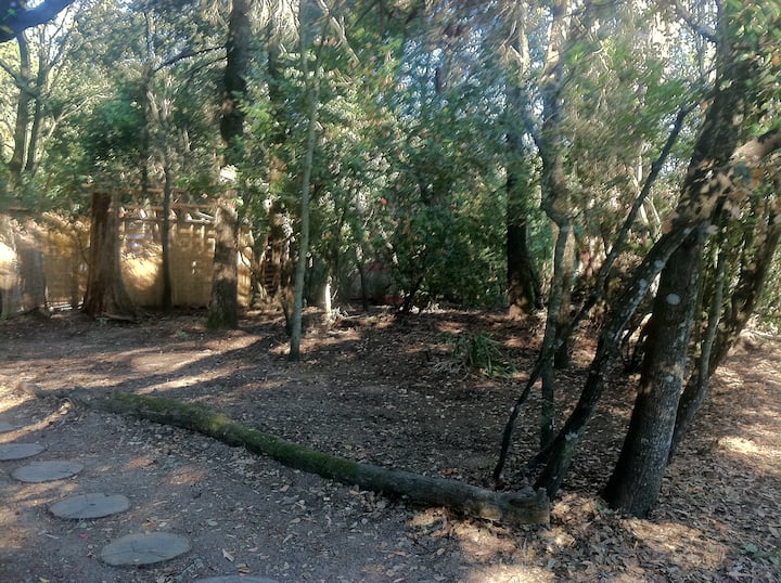 Camping Space In Enchanted Forest - Healdsburg, CA