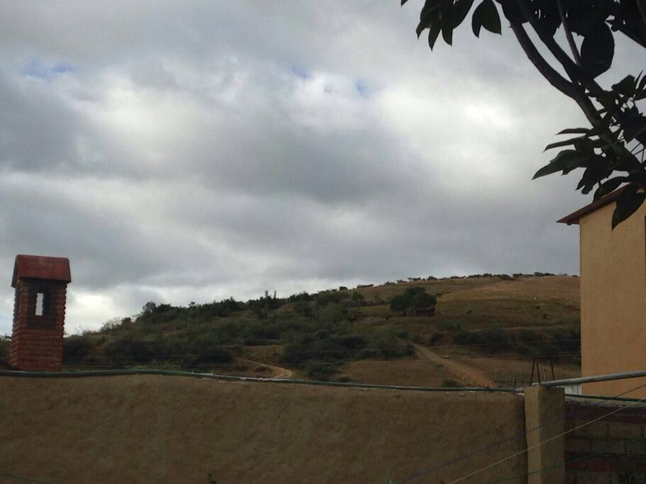 vista del campo
