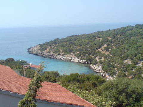 Successful Airbnb property: Apartmani Marinković in Potočnica