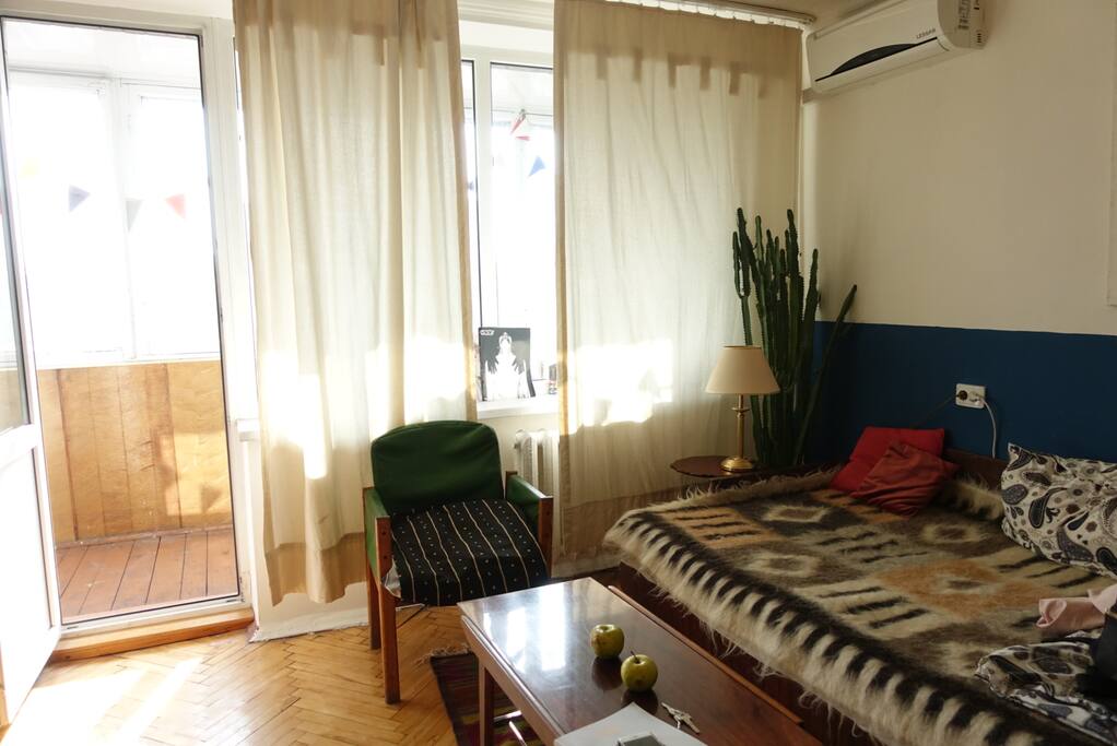 common room w sofa ( double bed as needed )