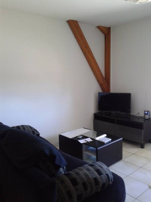 Coin salon avec TV neuve + canapé convertible 2 places