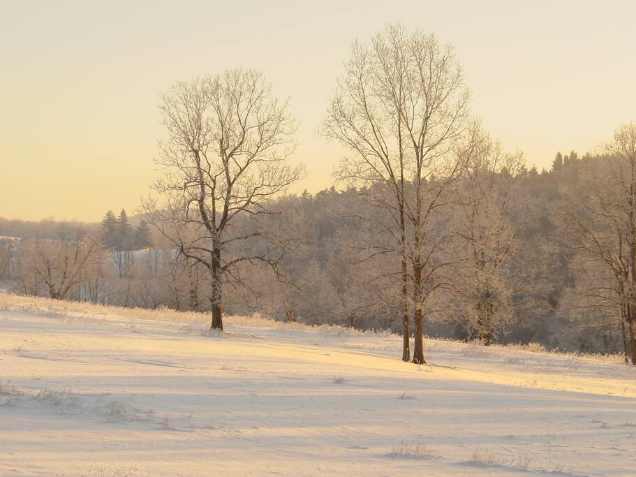 Sunny fields of snow