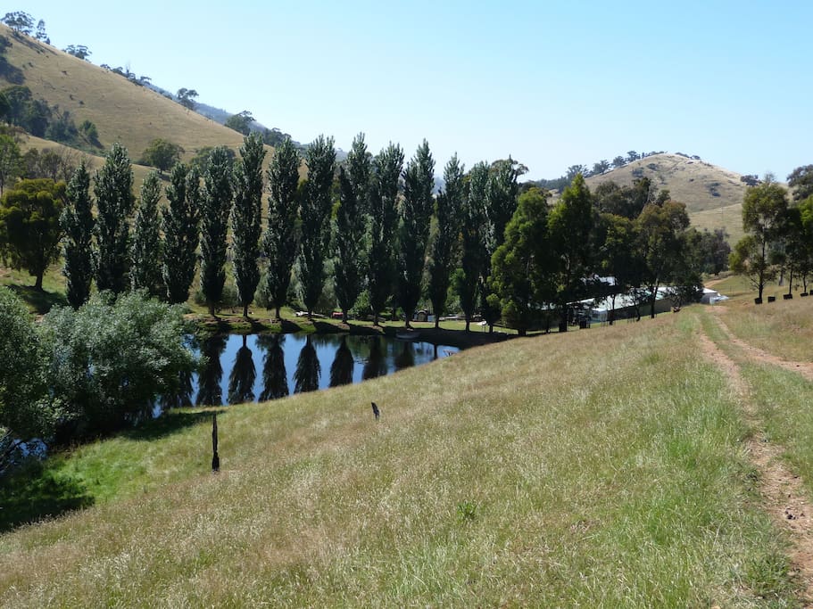 Cottage is on the right behind the poplar trees.