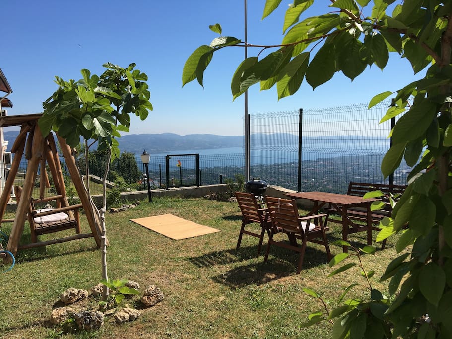 Garden view