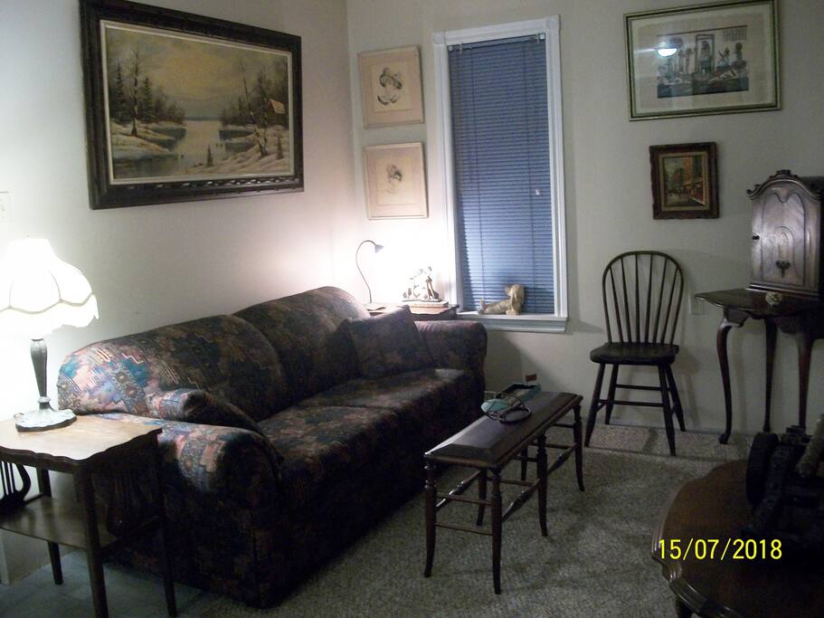 Pullout sofa with privacy screen