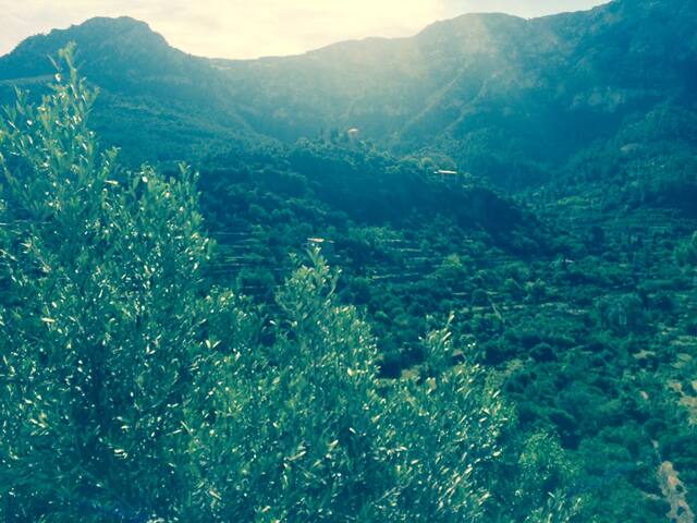 Charming Deia House gallery image 5