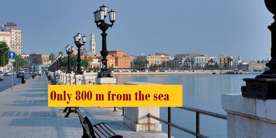 Room Guest | near the beach