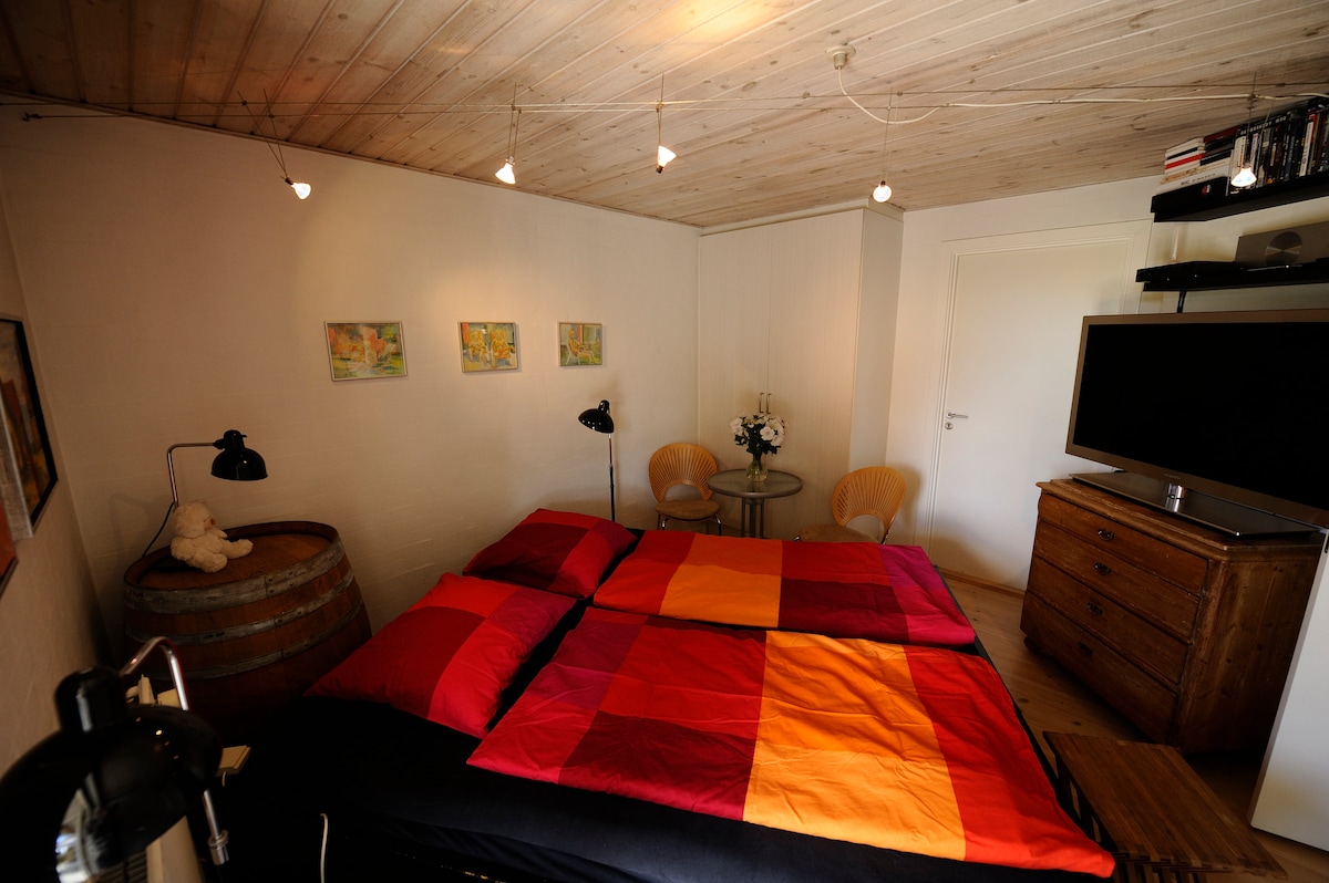 A cozy bedroom features a spacious bed with colorful red and orange bedding. Two wooden chairs and a small table are positioned beside the bed. A wooden dresser and a television stand are visible, along with soft lighting from overhead fixtures.