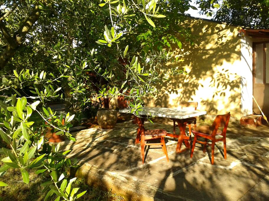 Terrace by the olive garden