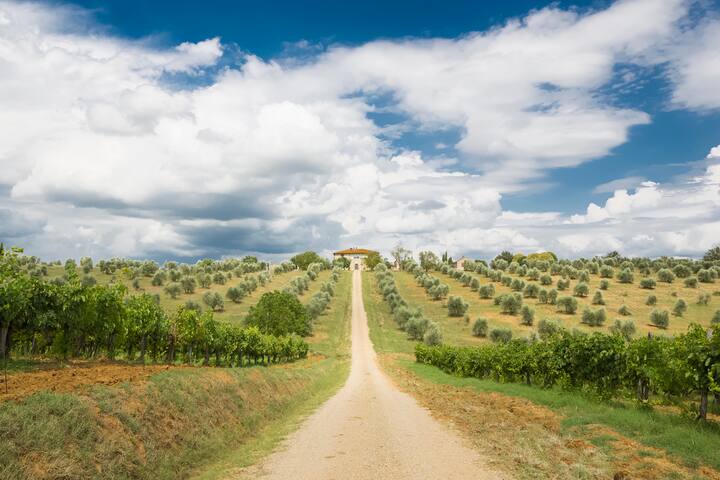 Schöne Farm in Chianti + Jacuzzi SPA & Pool!