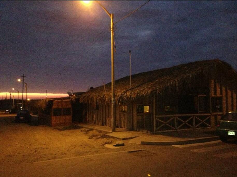 Nocturna