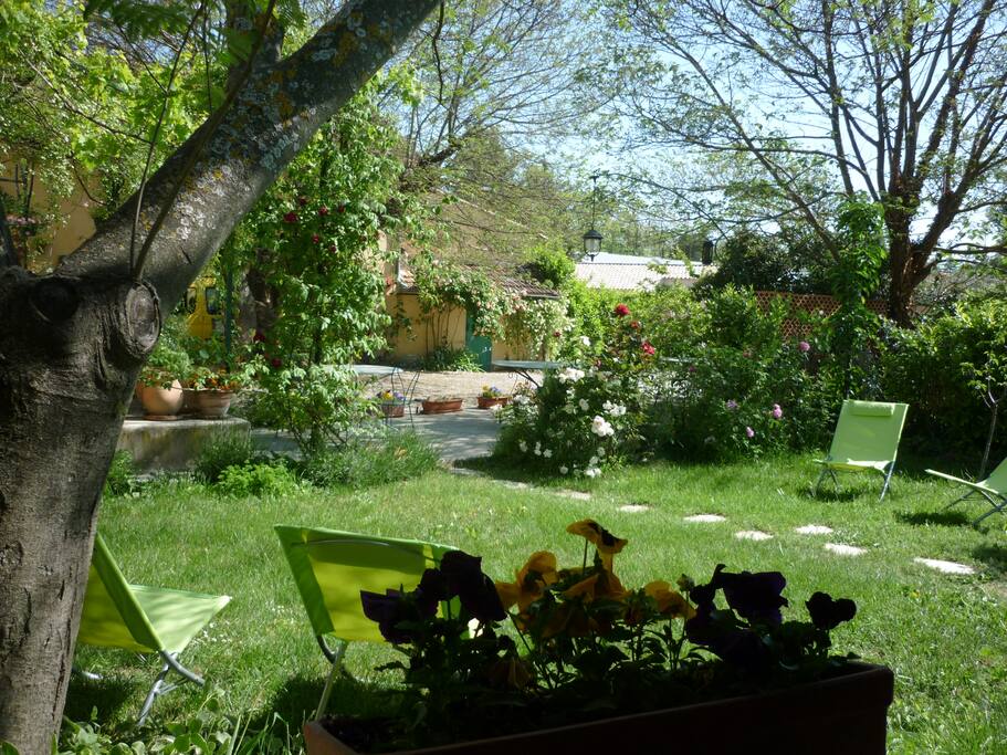 Détente dans notre "jardin en ville"