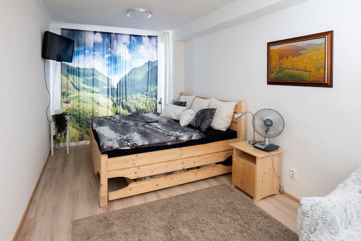 Great flat near City Center with view on Mountains