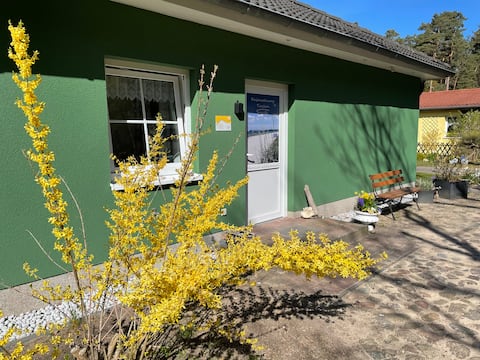 Top performing Airbnb: Holiday apartment Tinchen Prora Rügen in Binz