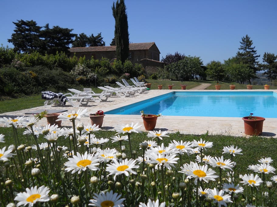 View of the pool and home
