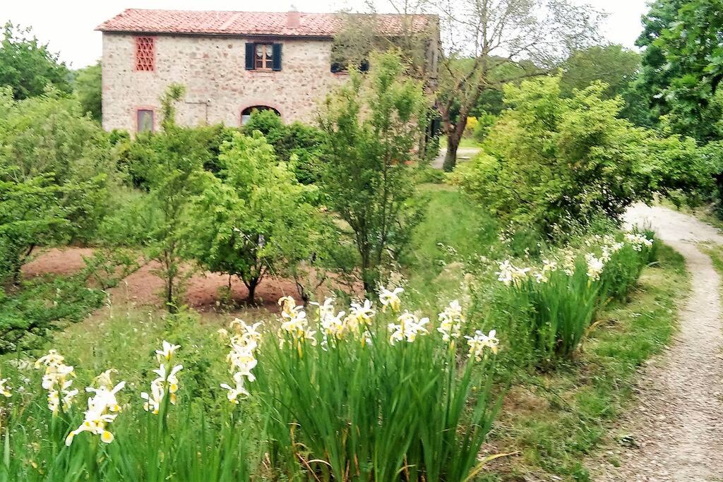La strada che porta alla casa / The road to the house