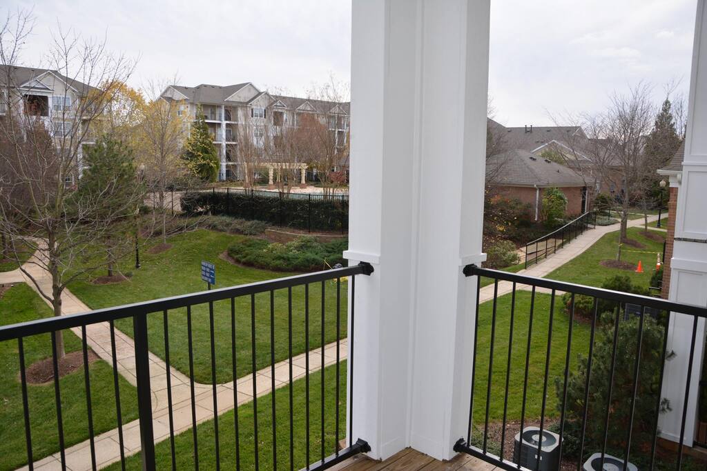 Deck view