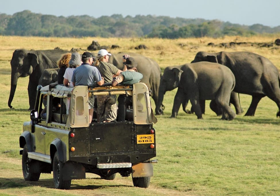 Minneriya National Park Jeep Safari