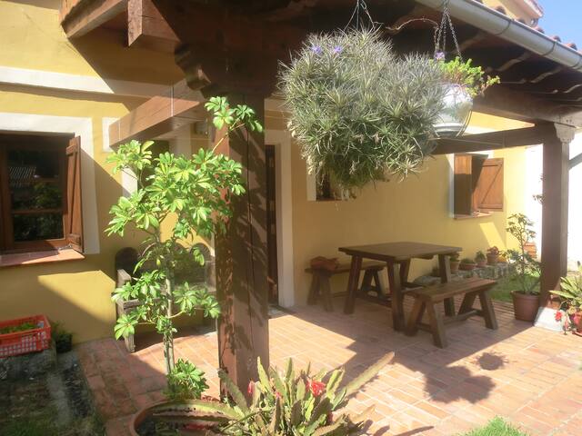 Cerezal 1, casa en plena naturaleza