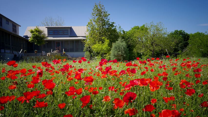Historic Farmhouse / Art Studio on the River