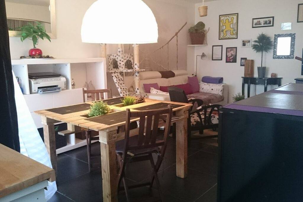 Salon, salle à manger avec coin cuisine (d'où est prise la photo)