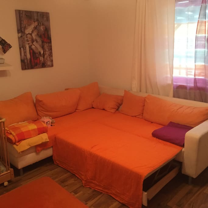 Wohnzimmer/Schlafzimmer mit Schlafcouch/ livingroom with a sleepingchouch