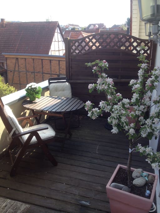 Balkon mit frischen Pfefferminz